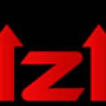 bizincs12